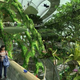 Illustration for article titled Singpore Plans its Own Version of Pandora on Earth
